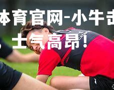 小牛击败尼克斯，士气高昂！